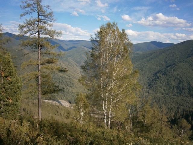 На конягах по Алтаю