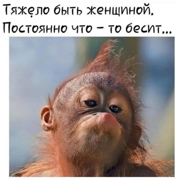 Картинки 19.01.21