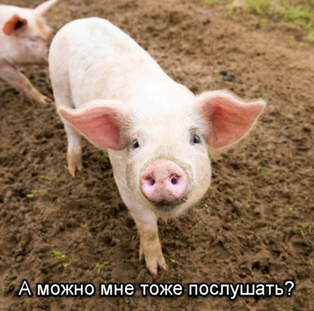 Путин, Меркель и Макрон решили обсудить Донбасс без Зеленского