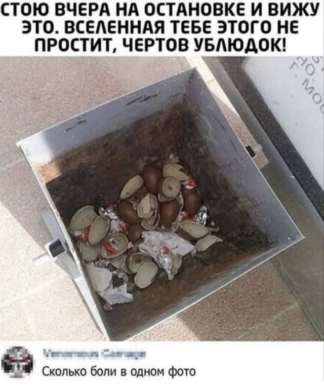 Картинки и мемы для настроения 24.08.2021