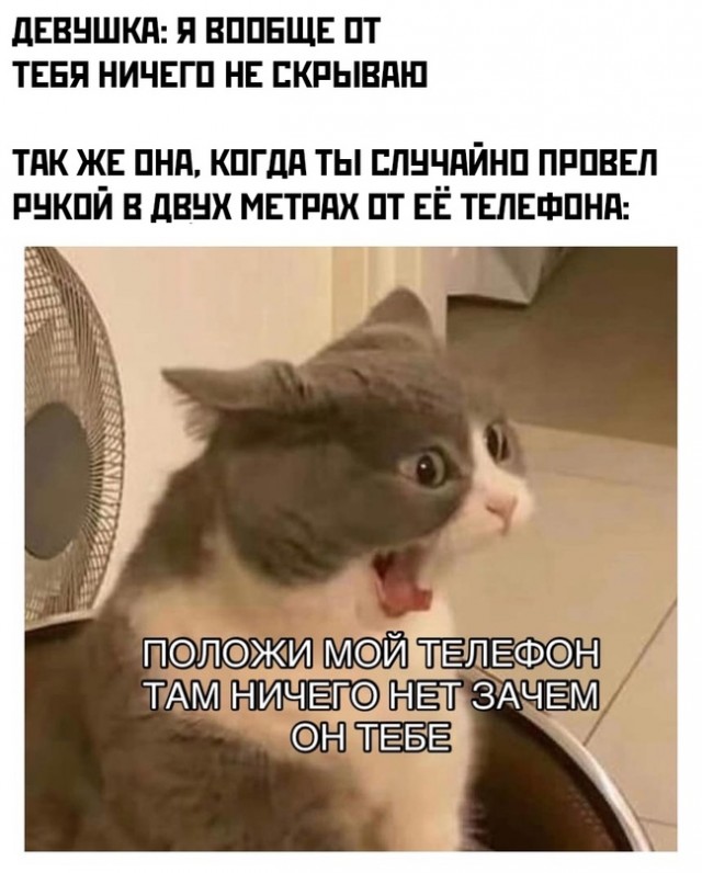 Картинки и мемы для настроения 001