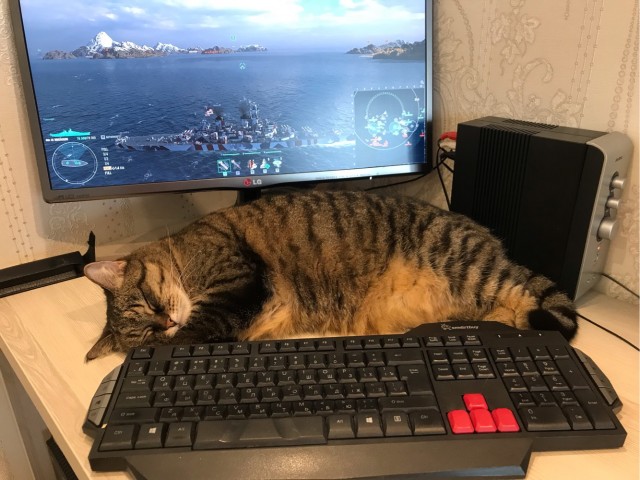 Мой самый первый КОТовторник!
