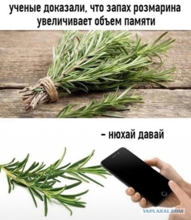 Делайте выводы