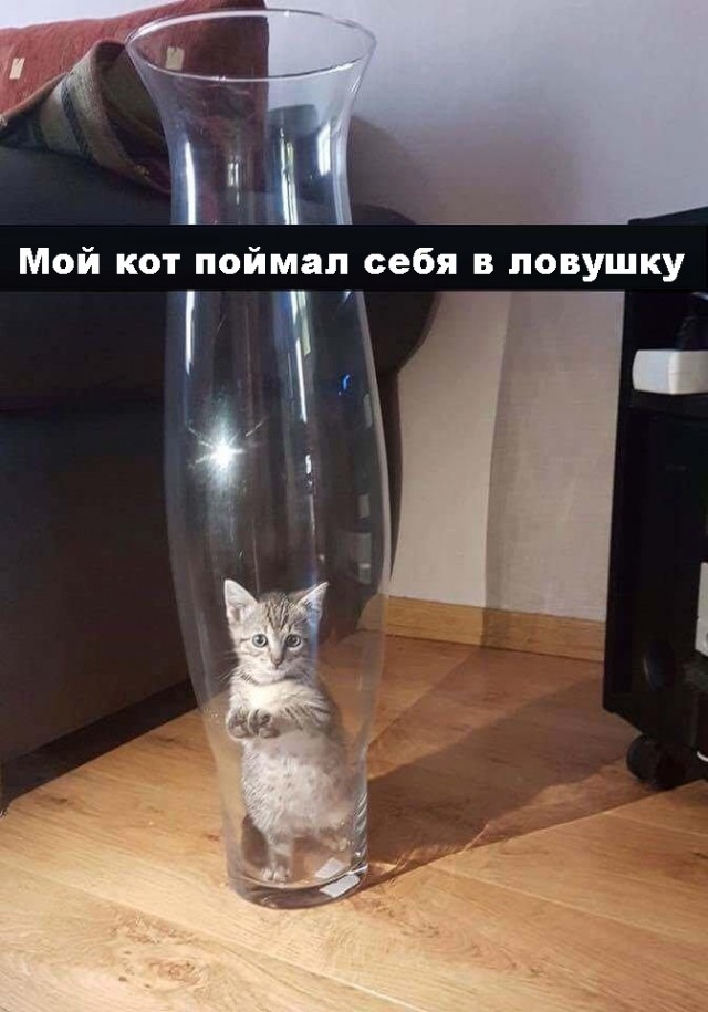 Картинки для поднятия настроения