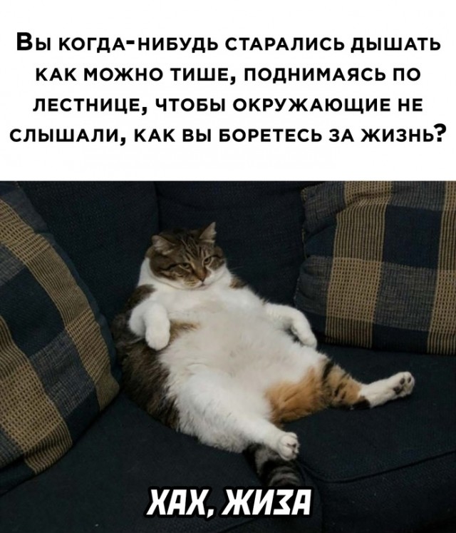 Весёлый полтишок 31.12
