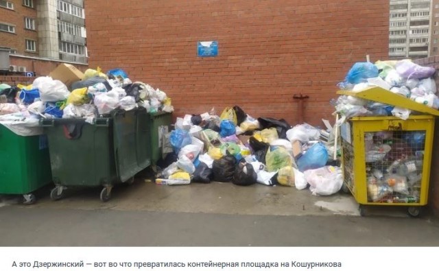 Мусорный кризис в Новосибирске