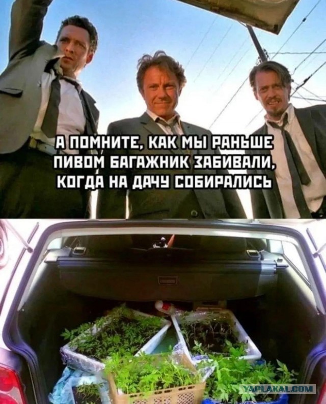 Французский журналист удивился, что русские не умирают с голода