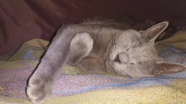 Маняня