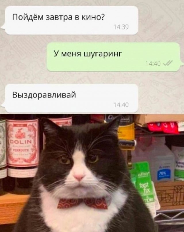 Картинки и мемы, всем хороших выходных