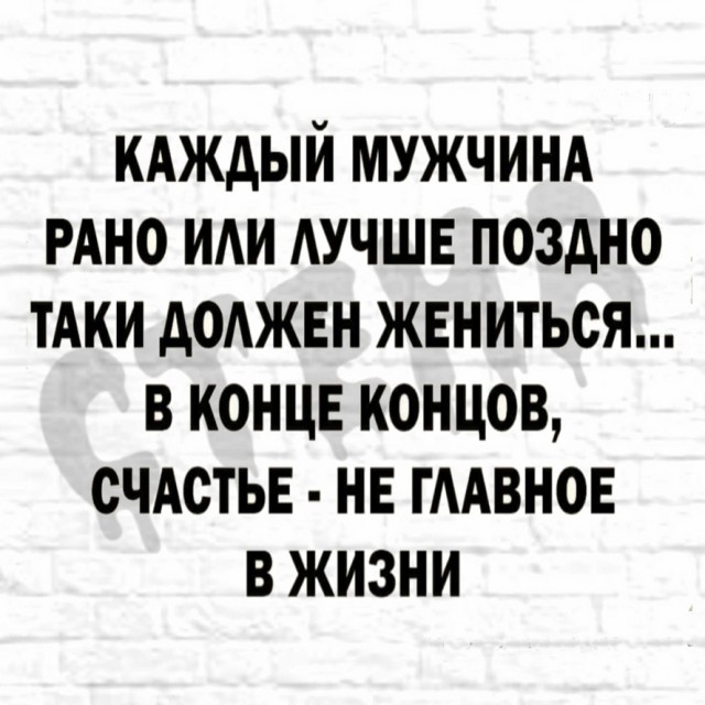 Весёлый полтишок 10.11.22