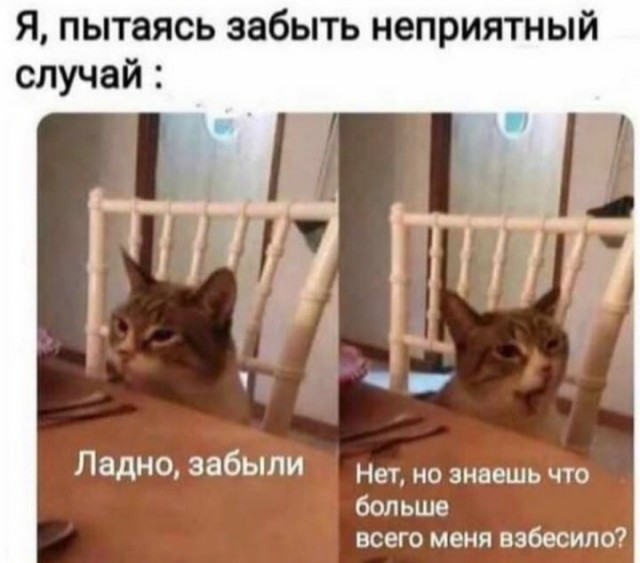 Юмор в картинках и без 01.12.2022