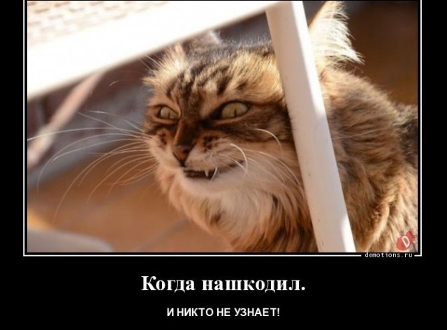 Автора этого "элегантного решения" однозначно ждёт ад