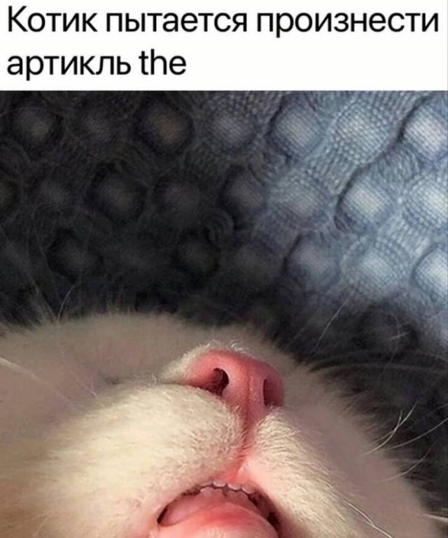Немного картинок для настроения - 165