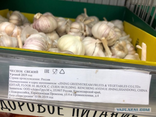 Знай наших⁠⁠