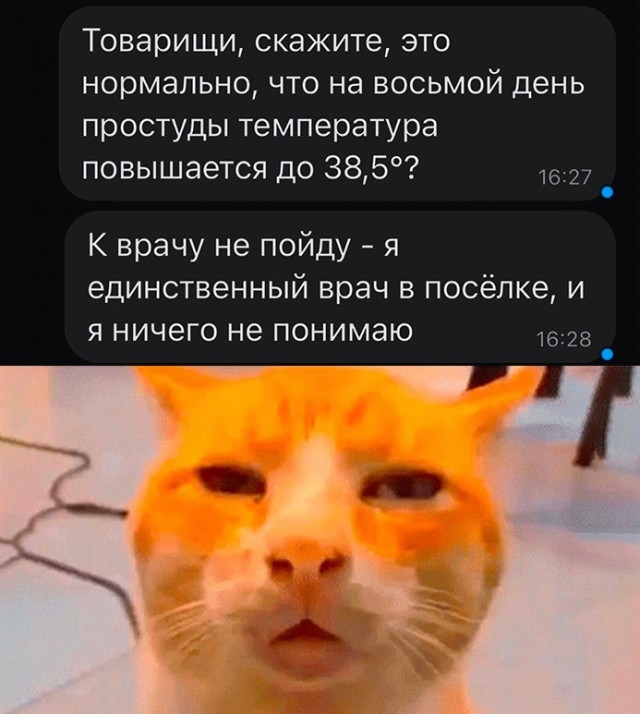 Так себе картинки 16.07.23