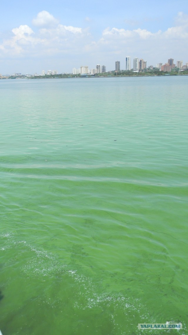 Трое в лодке