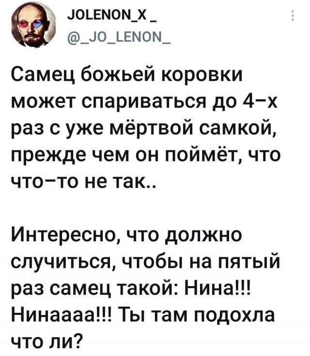 Женщина умерла во время полового акта в московском сквере