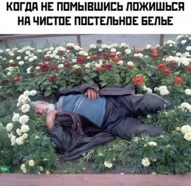Отряд быстрого деградирования