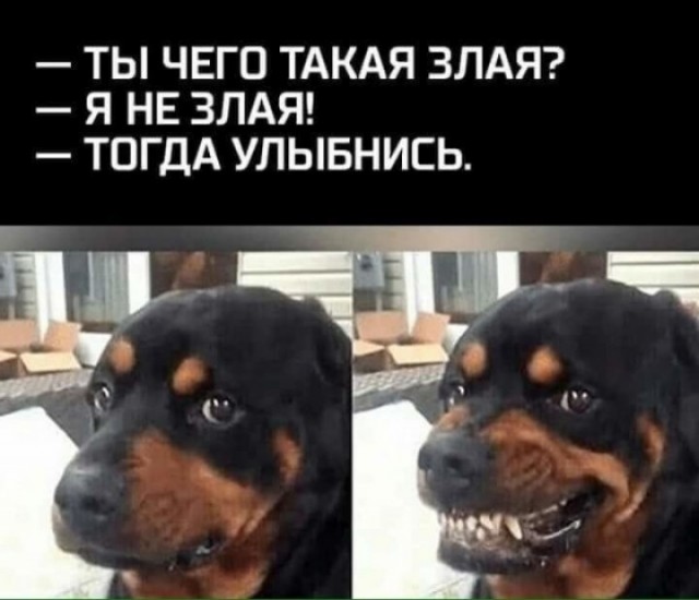 Ну раз заходят, то нате ещё боянов