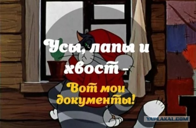 Да что эта нога себе позволяет!