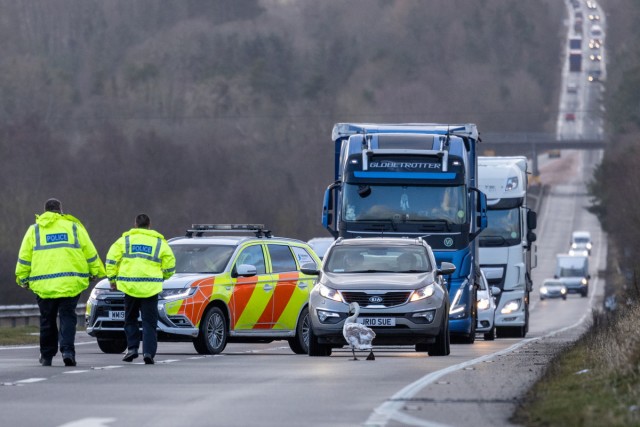 Подборка интересных и веселых картинок 12.02.24