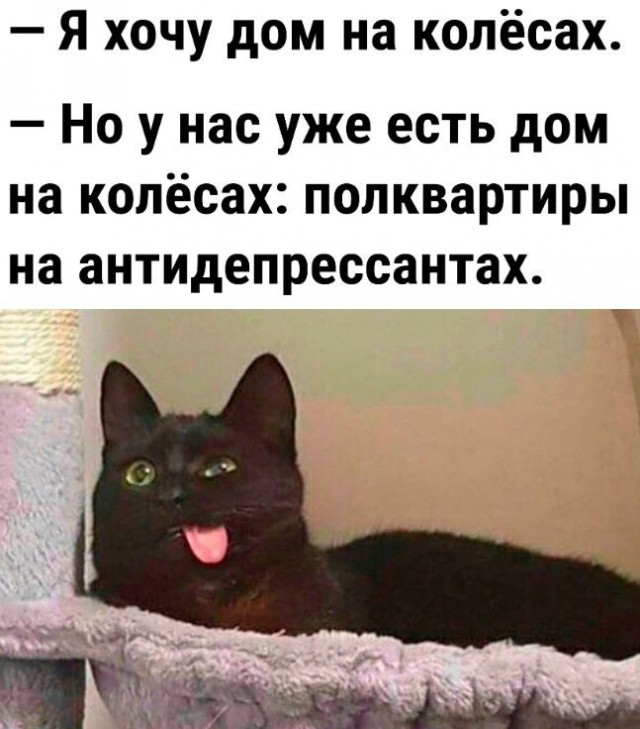 Так себе картинки 01.06.24