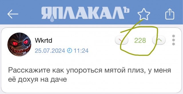 Россиян предупредили об уголовной ответственности за выращивание шалфея и мяты