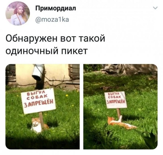Маленькая пятница
