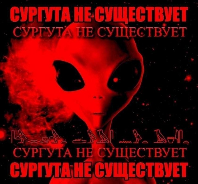 «Мы их нашли»