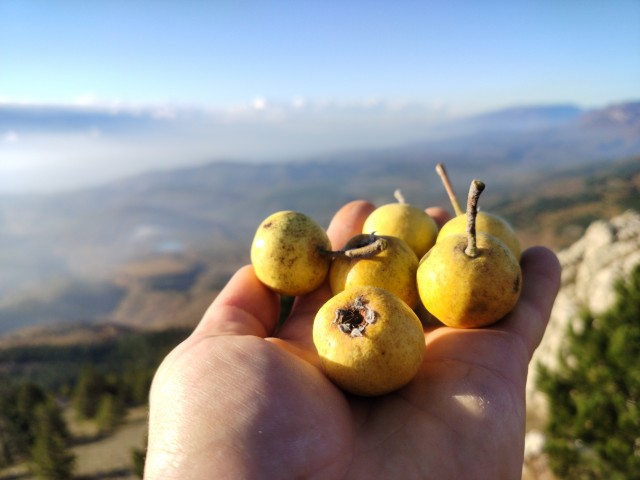 Осень в Крыму