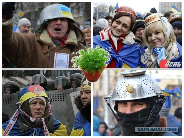 Прости нас, Дональд