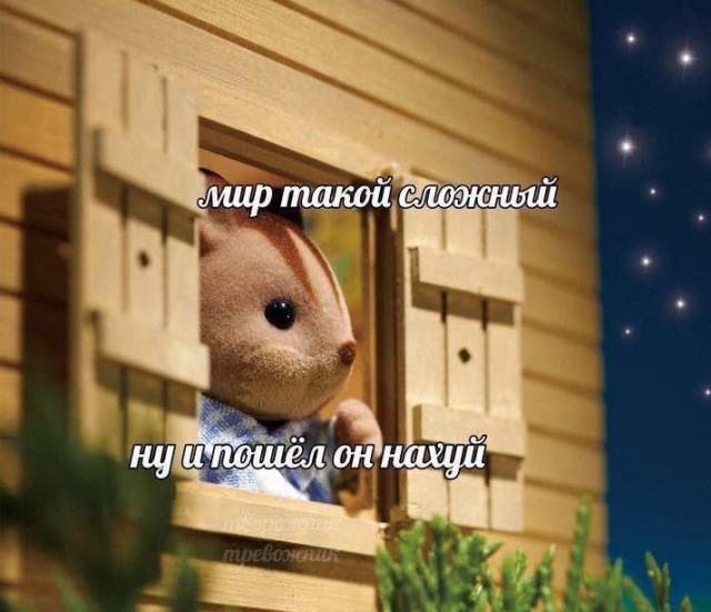 Всего понемногу. От 04.12.2024