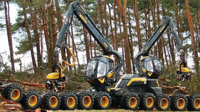 Я умею, я могу, НО ..... или как попасть на бабки
