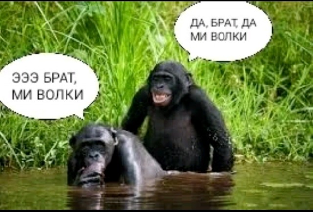 Боец поп-ММА по кличке Байра избивает прохожих на улицах Москвы и дебоширит в заведениях, предлагая «выскочить один на один»