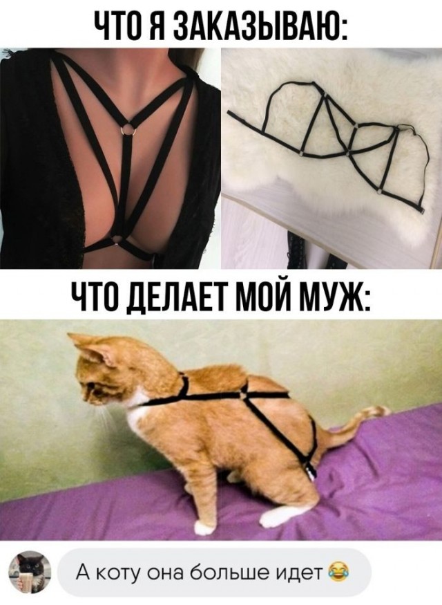 Большая подборка баянов разной степени свежести