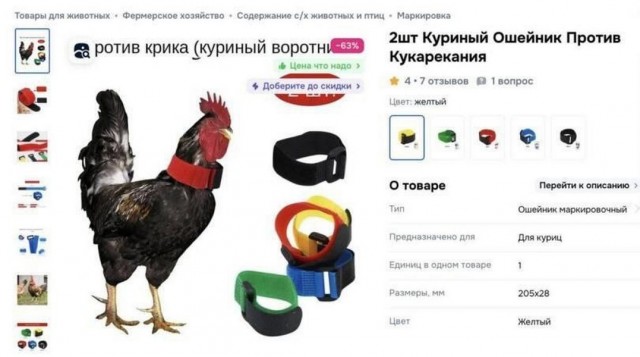 Веселые картинки в пятницу (04.07)