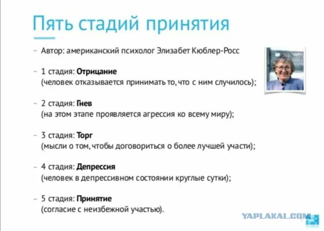 Мерц заявил, что Россия должна выплатить Украине €500 млрд.