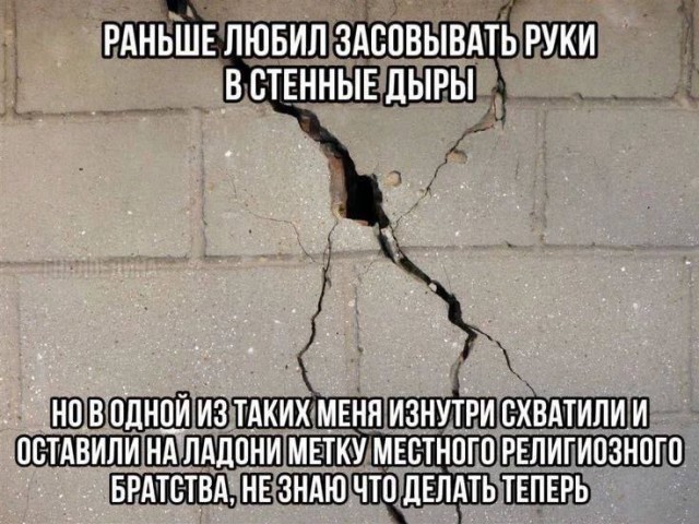 Картинки для деградации 10 (разной степени свежести)