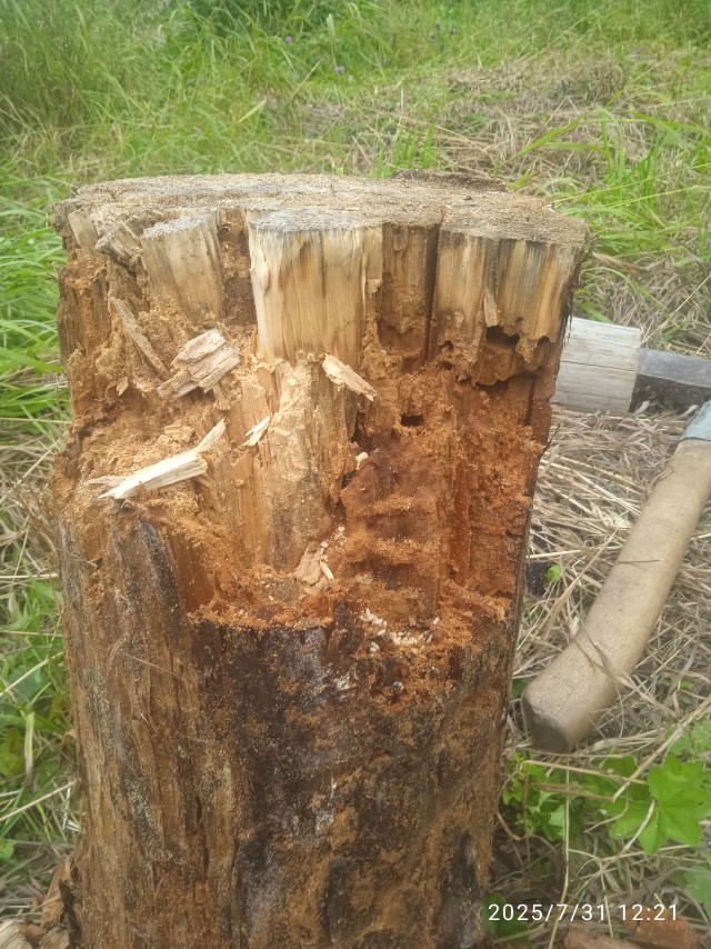 Чурку рубил