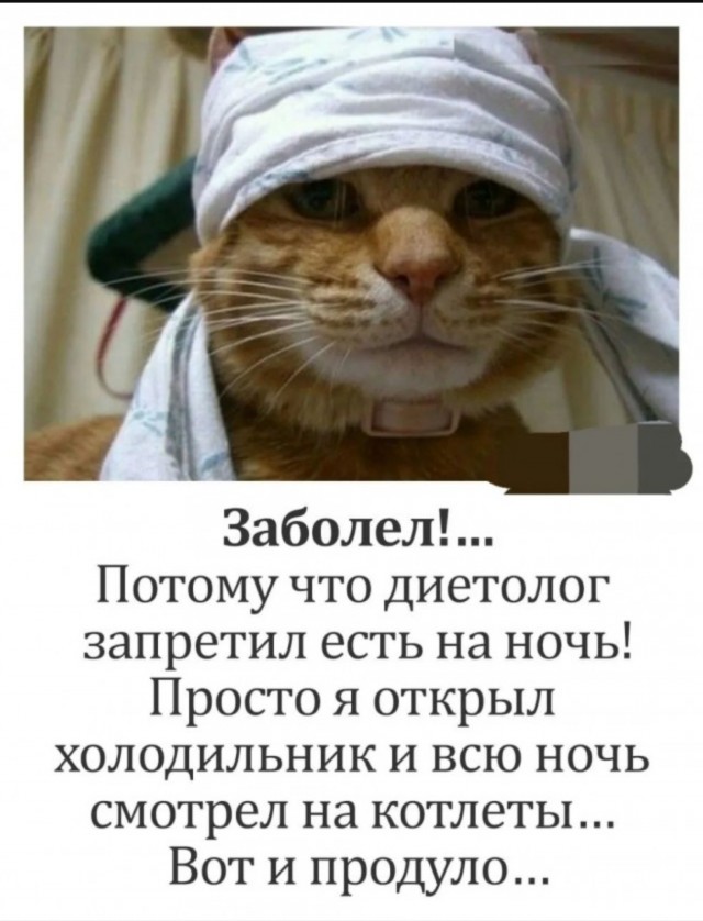 Так себе картинки 05.08.25