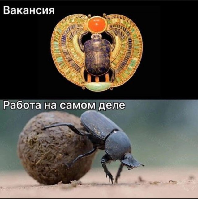 Картинки для деградации 26 (разной степени свежести)