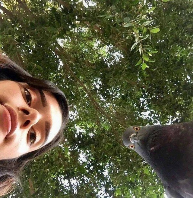 Картинки для деградации 30 (разной степени свежести)