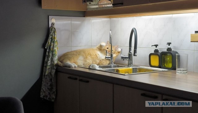 Оглянись, незнакомый прохожий