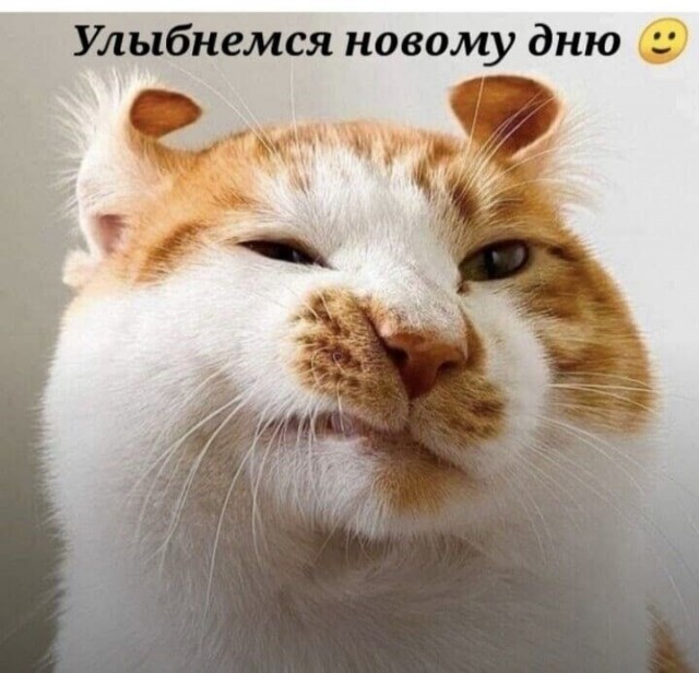 Воскресные картинки