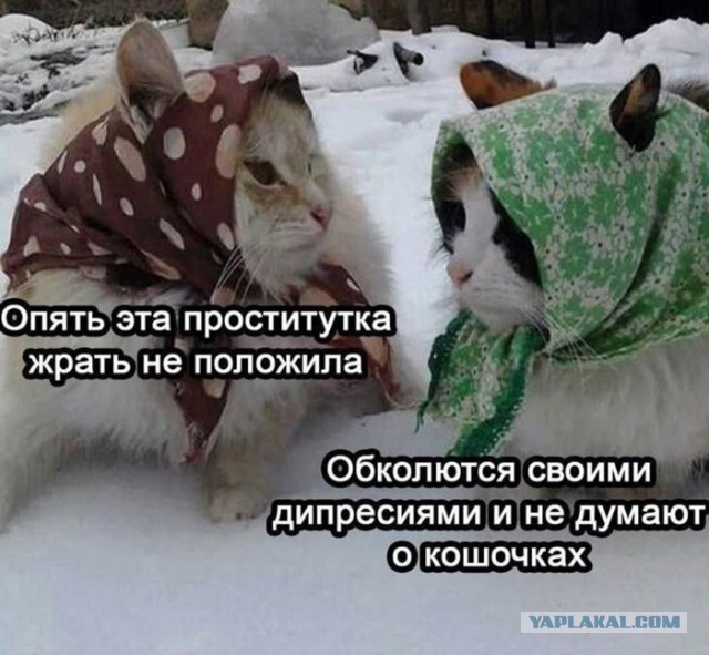 Вторник 13.