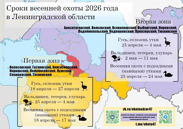 Утиный бульон с домашней лапшой (от ощипа до тарелки)