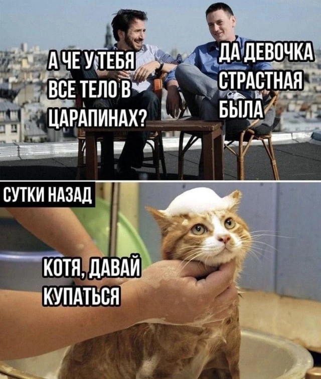 Немного еб@нины