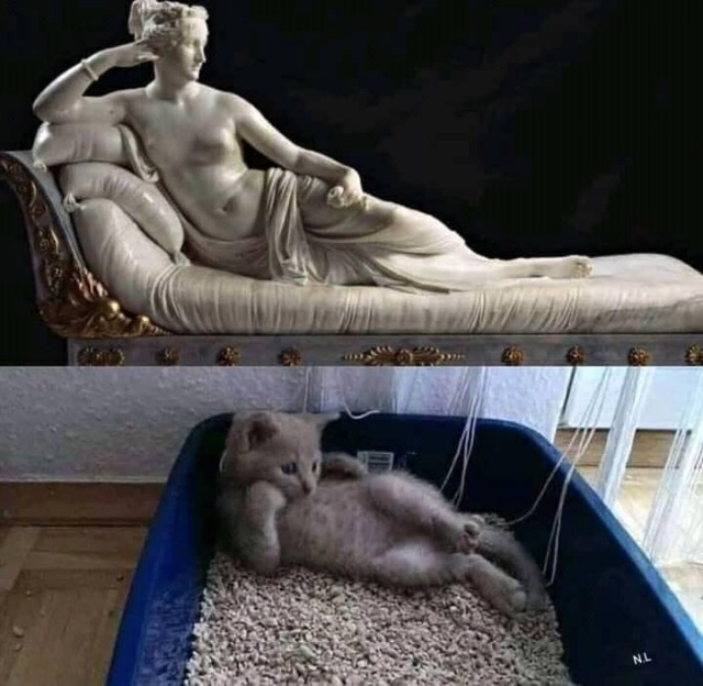 Возлюби кота ближнего своего