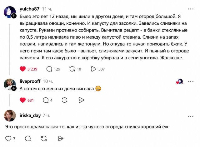 Картинки для деградации 238 (разной степени свежести)