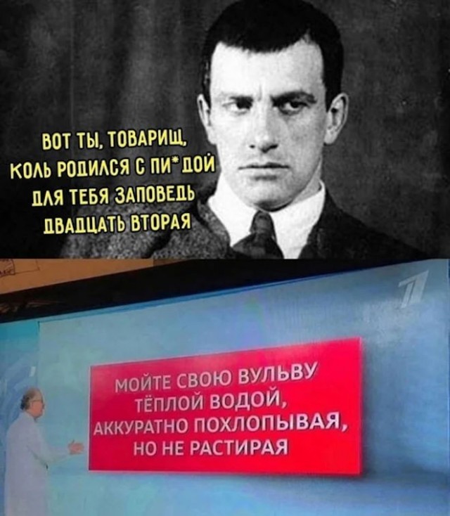 Веселые картинки в пятницу 07.08